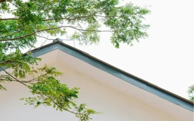 Perbandingan Rumah dengan Atap UPVC vs Atap Konvensional